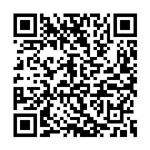 同时小四眼也是直接的就扑到了丁羽的裤腿上面二维码生成