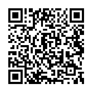 同时得罪阿斯兰和康斯坦汀并不是什么明智之选二维码生成