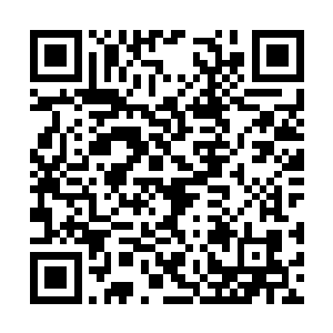 同时有50%的概率放射性物质不会衰变而猫将活下来二维码生成