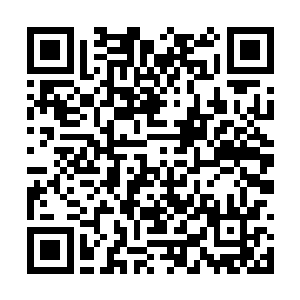 同时望向龙傲天的目光之中也变得无比的凝重起来二维码生成