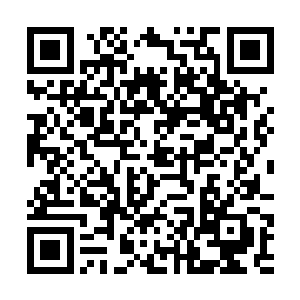 同时望向龙傲天的目光之中也闪过了一抹嫉妒的光芒二维码生成