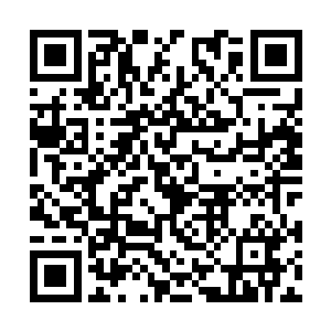 同时查看了一下亲人们的灵hun印记并没有出现破碎二维码生成