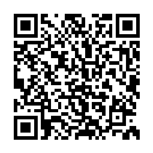 同时正见张辽身后霍地也显现出一面白毛银狮兽二维码生成