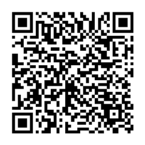 同时每个人还将分配给他们从两亩到二十亩的土地供他们耕种养家二维码生成