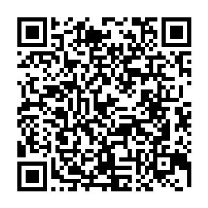 同时泥地中窜出无数只黑漆漆的绳索似的长条之物瞬间将纳甲土尸困住拽向地面二维码生成