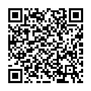 同时眼睛还挑衅的望了一眼那个刚才报价的大胖子二维码生成