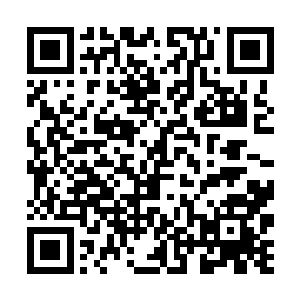 同时神秘人却也察觉到自己带来的死士已经所剩无多二维码生成