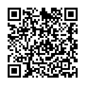 同时考虑着怎么将这些名言恰当的抛出来去迷惑对方二维码生成