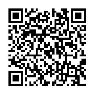 同时蛇头的顶端居然有一个类似于鸡冠一样的肉瘤二维码生成