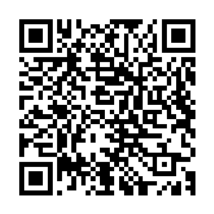 同时表示如果苗毅在鬼市遇上了什么麻烦可以直接找花蝴蝶帮忙二维码生成