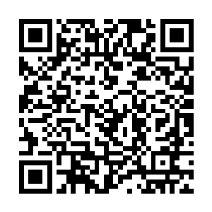 同时被无双域主灵魂体爆发出来的强悍战力给惊呆了二维码生成