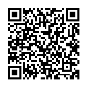同时身上的肌肉又一次开始变化了……龙象法王原本黝黑的肌肤二维码生成