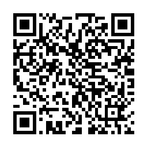 同时还将从老鼠强那里弄来的秘制酱料的材料都配齐了二维码生成