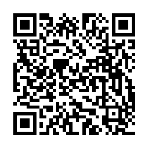 同时还把挽着自己手臂的沈丽缇往自己的身边扯近一些二维码生成