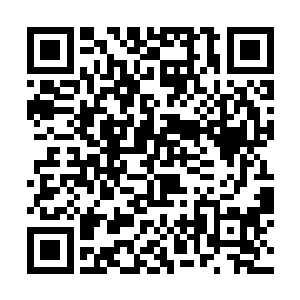 同时这样一来也能对所有政府工作人员形成监视体系二维码生成