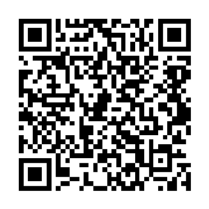 同时进一步加快洼崮中药材种植基地和中药材专业市场建设二维码生成