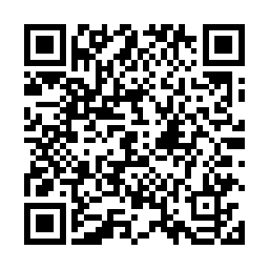 同时领民在神殿内创造的财富会被征收三至五成的税收二维码生成