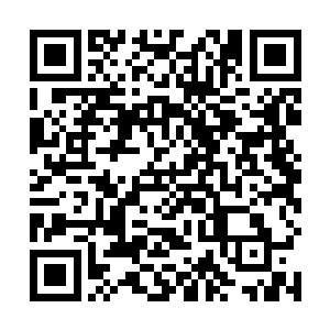 同时龙傲天几个人还得出了一个令他们十分震惊的结论二维码生成