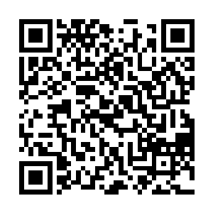同样也受到了雷火风暴波及的楚旬却恍若乘风破浪一般二维码生成