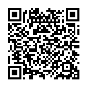 同样也在美国学院内部得到了起立鼓掌的超高待遇二维码生成