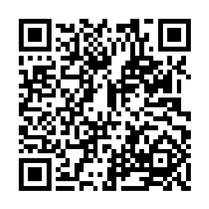 同样也大多都是大乘后期和元体九重修为的修士二维码生成