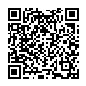 同样也没有听见石龟砸落到地面上时应有的震动声二维码生成