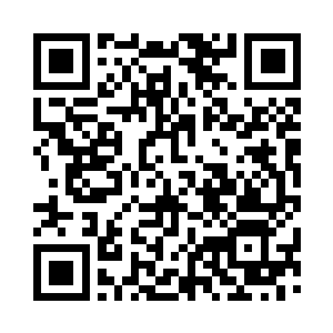 同样半大的小虎鲸顽皮劲儿也输人类的小孩二维码生成