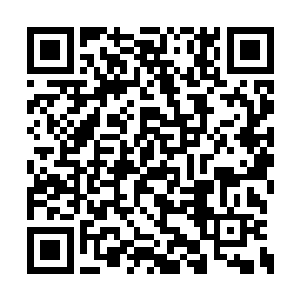 同样山本瑟郎也想到了这么年轻就有这样的实力二维码生成