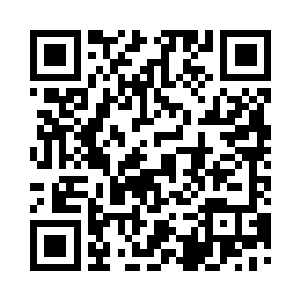 同样机翼的形态对飞机的飞行同样重要二维码生成