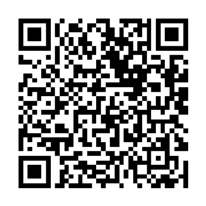 同样的声音出现在青鸾神国朱雀神国等几大神国之内二维码生成