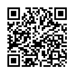 同样秦方也避不开龙象法王的拳头二维码生成