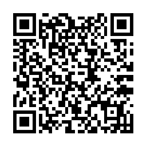 同样越过站在大厅门槛处正对着夭华与乌云的尹隻二维码生成