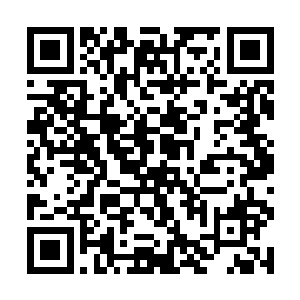 同样跑到七海星域这片混乱不堪的大泥潭里打消耗战二维码生成