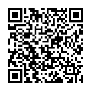 同等体积下蕴藏的热量比军用压缩饼干更丰富数倍二维码生成