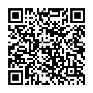 名师领进门的杨过程英两人消耗了药材铺子大半的药材二维码生成