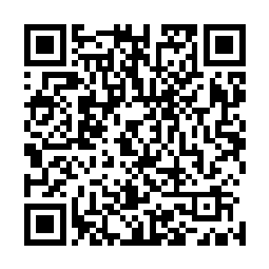 后世之人认为始皇陛下是想把自己身前的一切搬到陵墓当中二维码生成