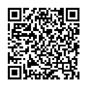 后两天的时间夜染和卡卡为用下进阶丹的柳非笑四人护法二维码生成