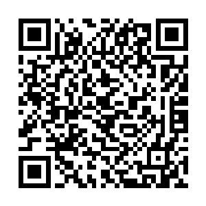 后代往往会讲一些老人生前喜欢的东西一并陪葬进去二维码生成