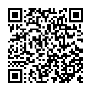 后天巅峰之境能够模拟出先天之境的内力化形威能二维码生成