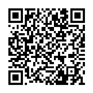 后宫美女全部住在霍天启所居主宅后面的别墅里二维码生成