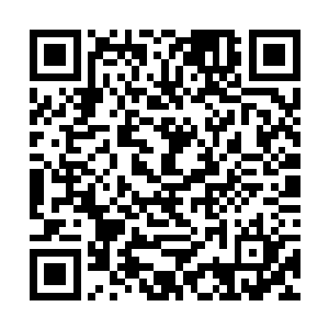 后宫还有一个太后时不时指使靖国公府在朝堂上捣乱二维码生成