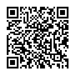 后方十多道飞翼天狼一族的强者也都纷纷化为飞翼天狼本体二维码生成