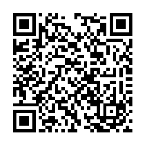 后来习惯性的只要惊醒便会自动寻找她小小的影子二维码生成