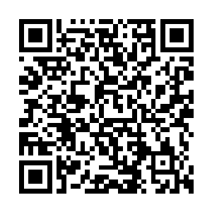 后来他听说一个太古秘境中有一株百万年的药材二维码生成
