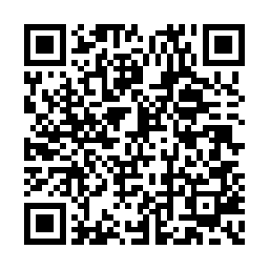 后来加入天元家族的所有始境强者都是心服口服二维码生成