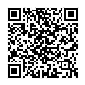 后来因为有他的帮忙也没有被梦珍的家里人小觑二维码生成