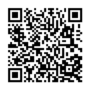 后来更是隐瞒了叶莹怀孕的消息将她留在京城才导致了叶莹被囚二维码生成