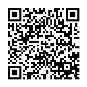 后来给我们那个时候当大堂经理的一位前辈才偷偷告诉我二维码生成