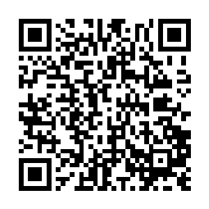 后来西海龙圣不知道从哪里找到另一件奇特的至宝二维码生成