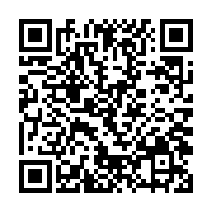 后来赵长枪带着猎鹰小组拼死从岛国将他们救了回来二维码生成